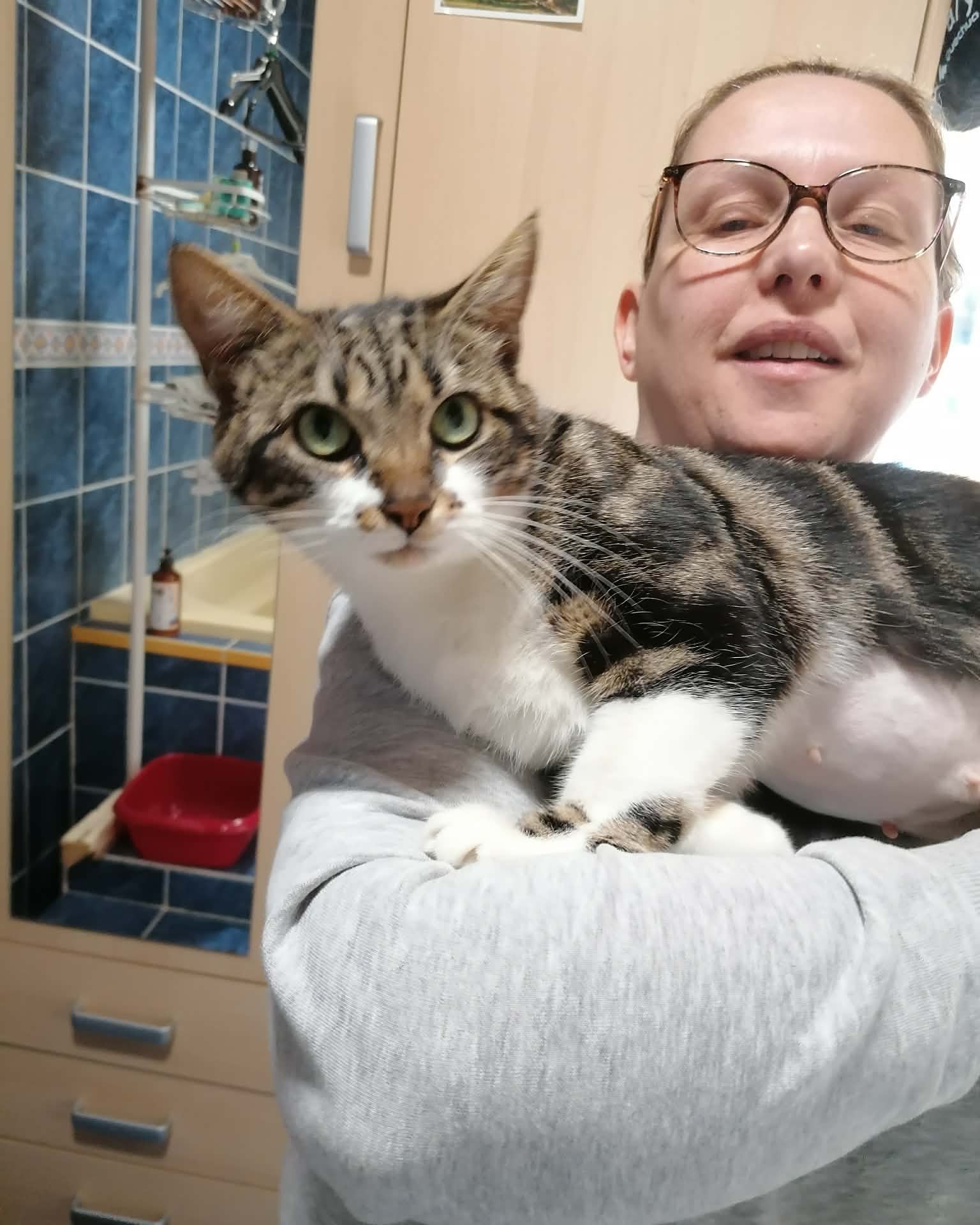 pet-sitter-valenciennes2